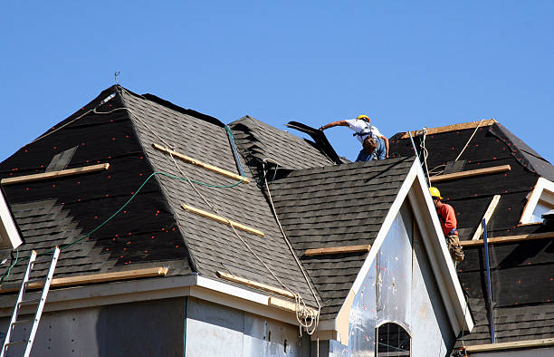 Best Asphalt Shingles Roofing  in Johnson, AR