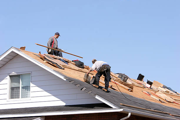 Best Solar Panel Roofing Installation  in Johnson, AR